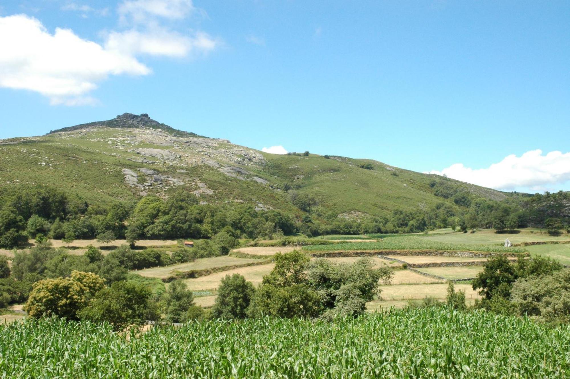 Casa De Campo Monte Abades Vendégház Terras de Bouro Kültér fotó