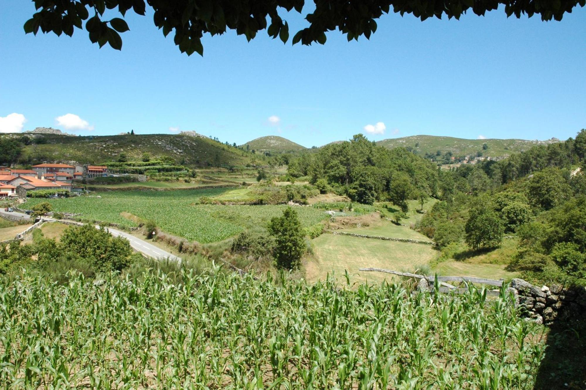 Casa De Campo Monte Abades Vendégház Terras de Bouro Kültér fotó