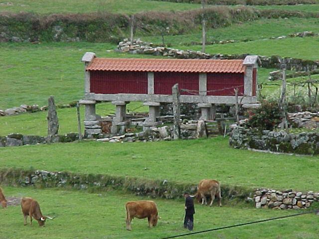 Casa De Campo Monte Abades Vendégház Terras de Bouro Kültér fotó