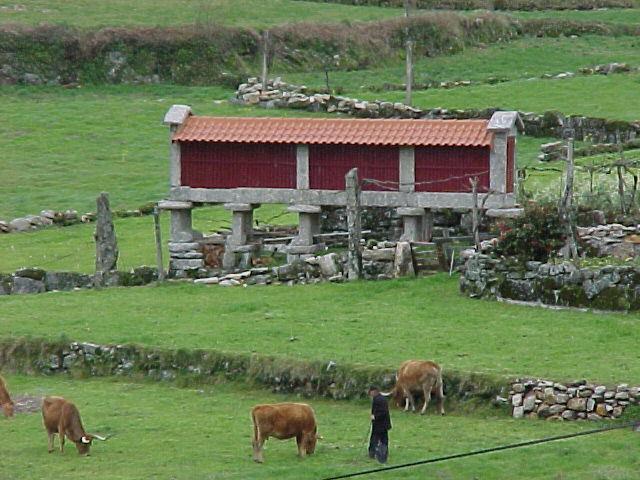 Casa De Campo Monte Abades Terras de Bouro Kültér fotó